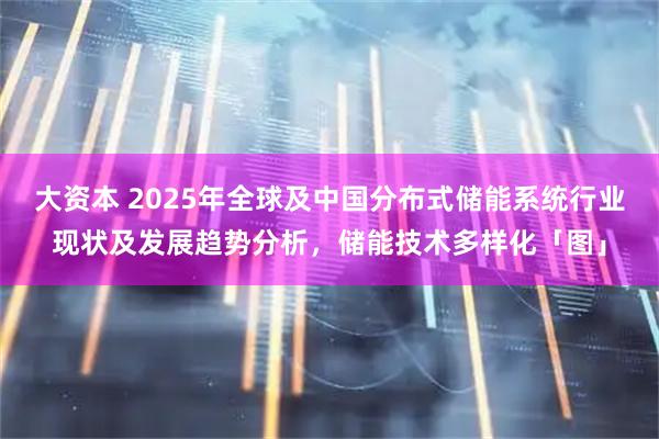 大资本 2025年全球及中国分布式储能系统行业现状及发展趋势分析,储能技术多样化「图」