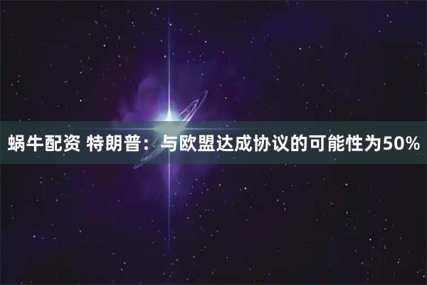 蜗牛配资 特朗普：与欧盟达成协议的可能性为50%