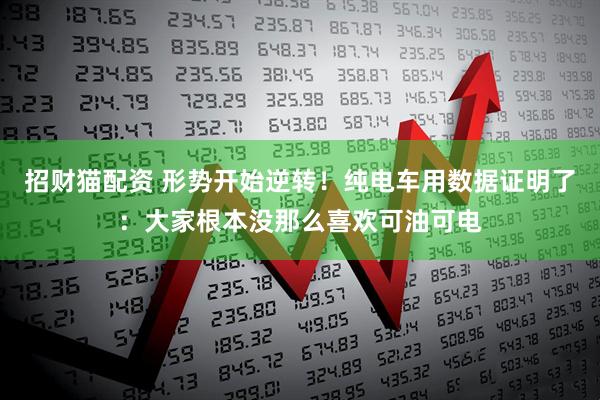 招财猫配资 形势开始逆转！纯电车用数据证明了：大家根本没那么喜欢可油可电