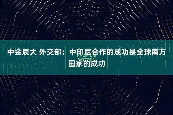 中金辰大 外交部：中印尼合作的成功是全球南方国家的成功